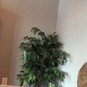 Meet your Posher, Charlotte